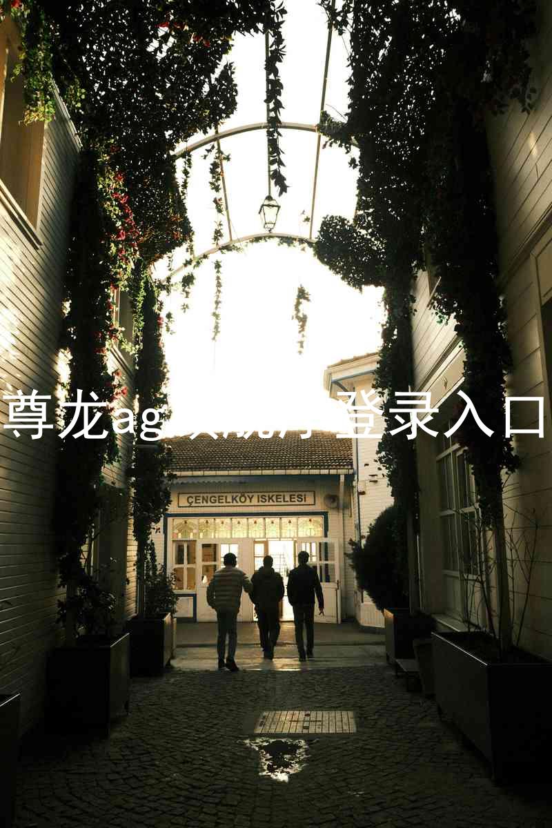 尊龙ag旗舰厅登录入口